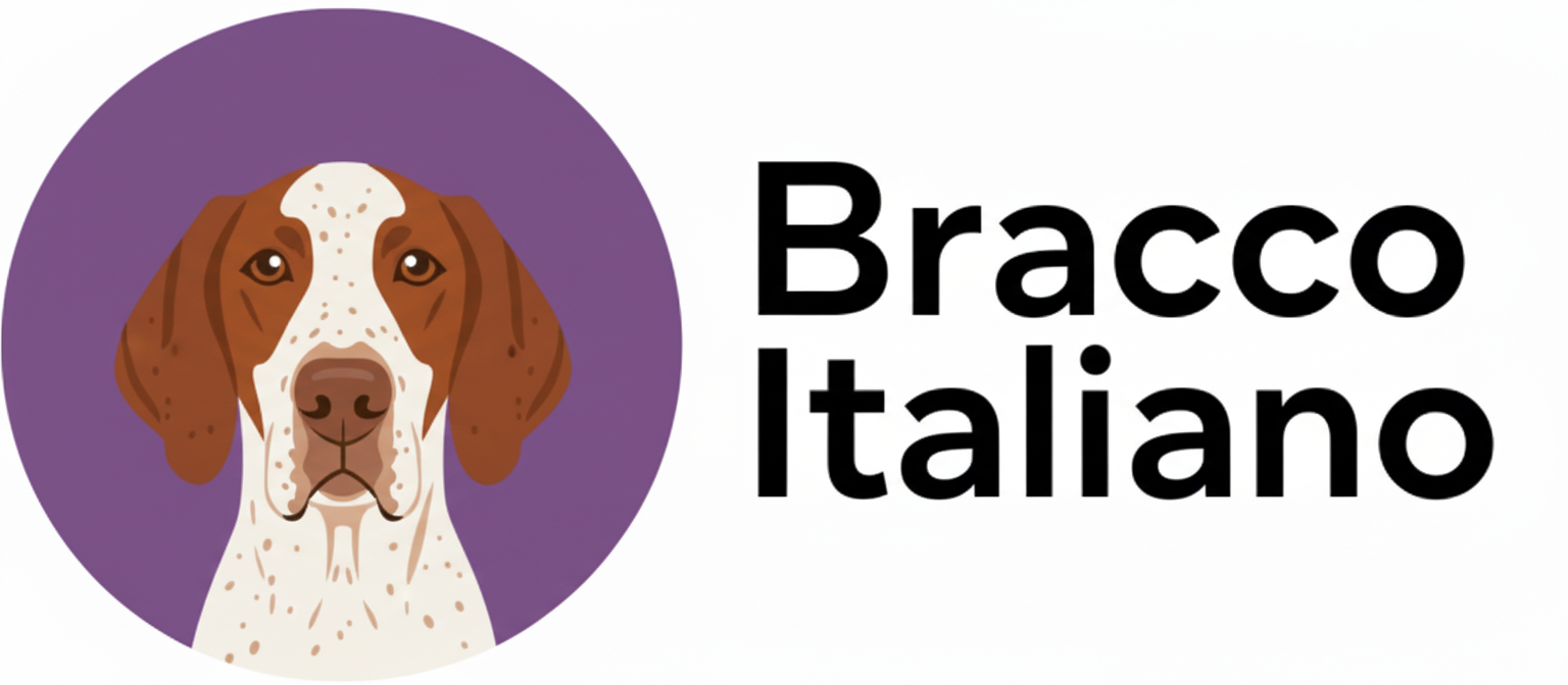 Bracco Italiano How